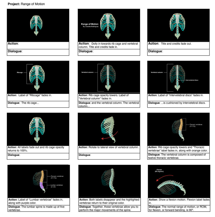 Range of Motion Storyboards Page 2/3 – Autodesk Maya, Adobe Illustrator