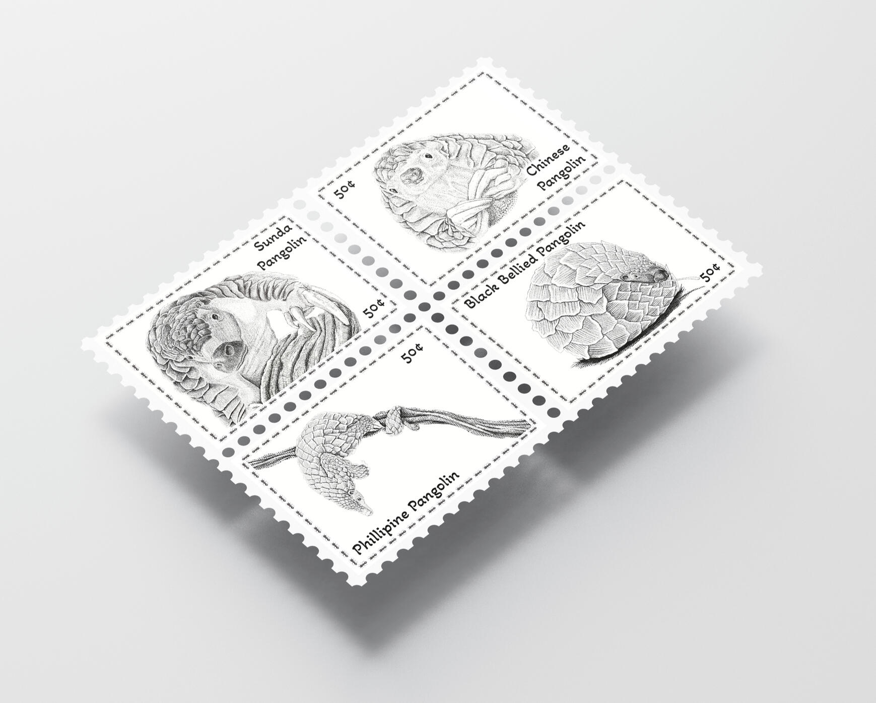 Pangolin Stamp Series – Adobe Photoshop Mockup