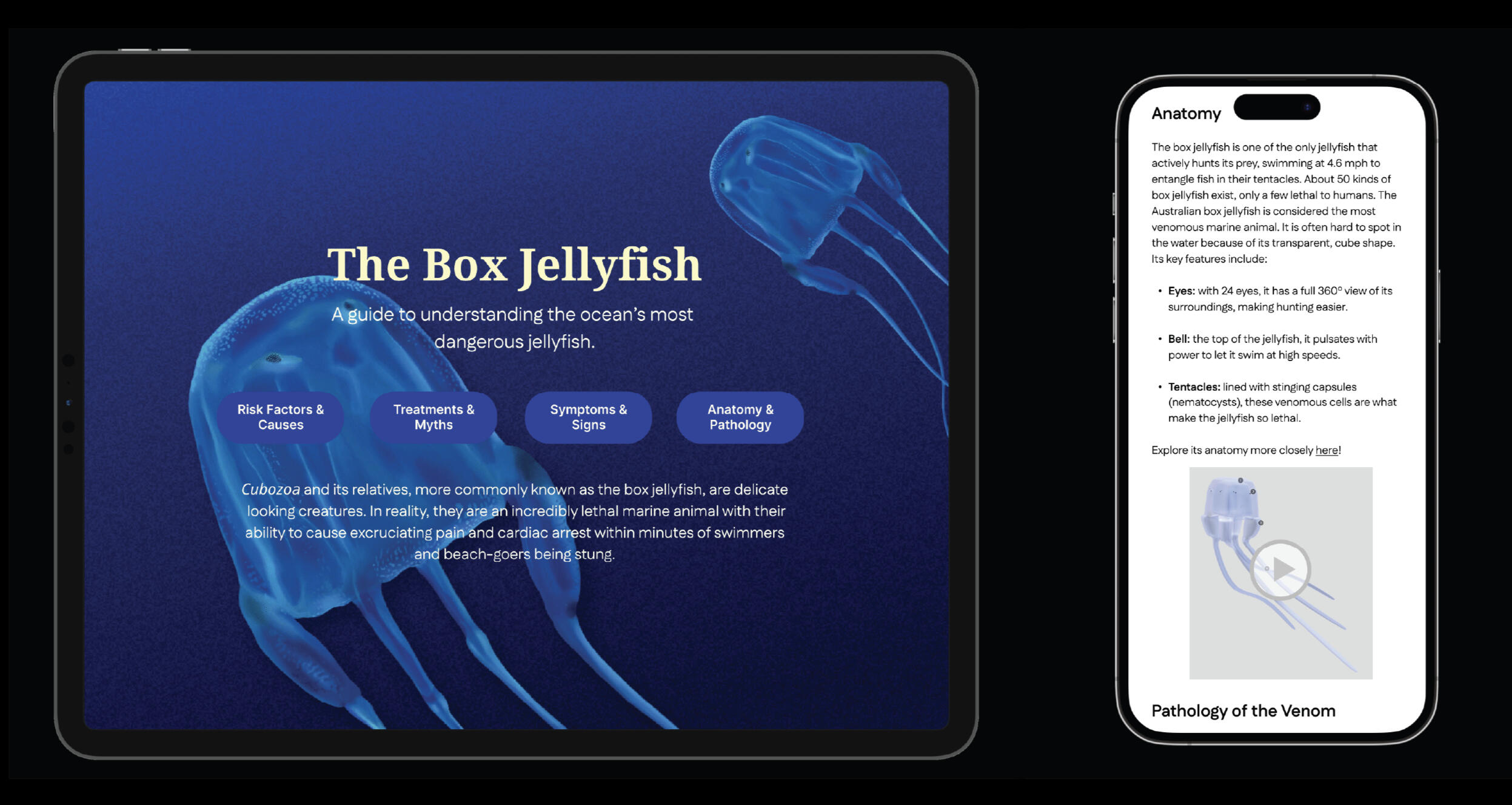 Box Jellyfish – Figma Project